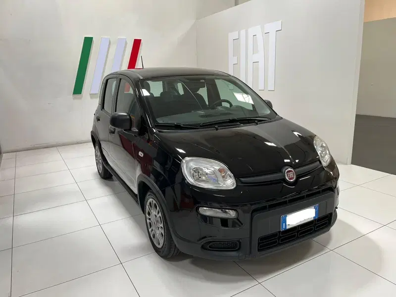 Fiat Panda usata a Lucca (3)