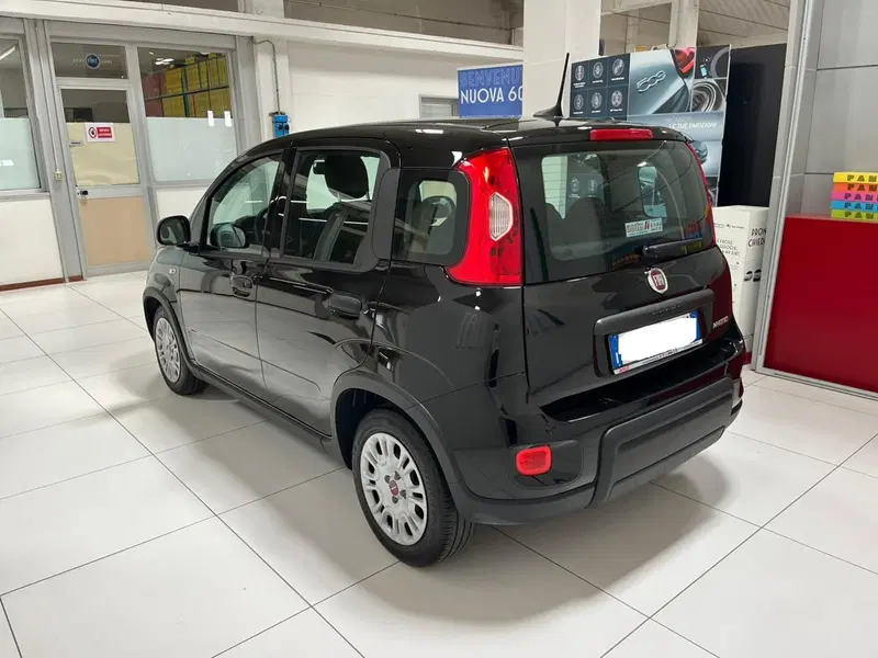 Fiat Panda usata a Lucca (6)