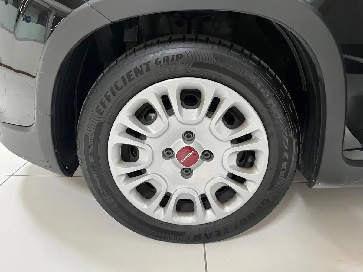 Fiat Panda usata a Lucca (7)