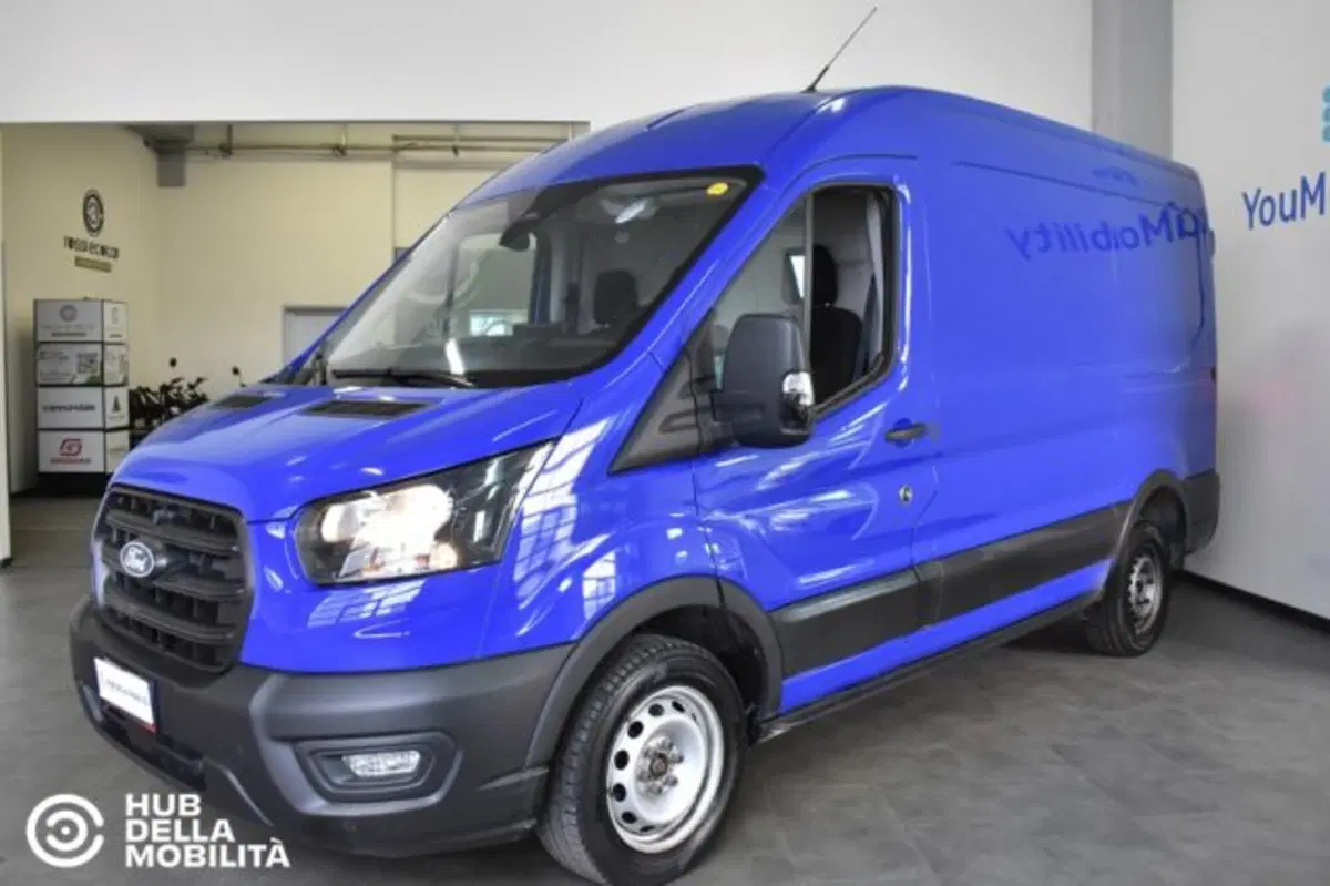 Ford Transit Furgone usata a Perugia (3)