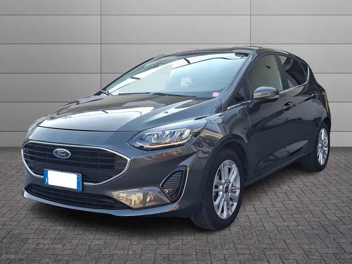 Ford Fiesta usata a Torino