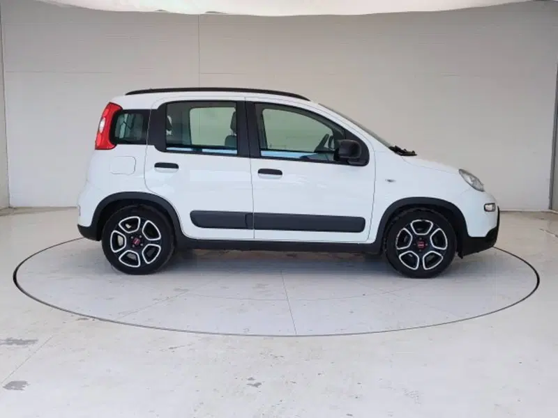 Fiat Panda usata a Teramo (4)