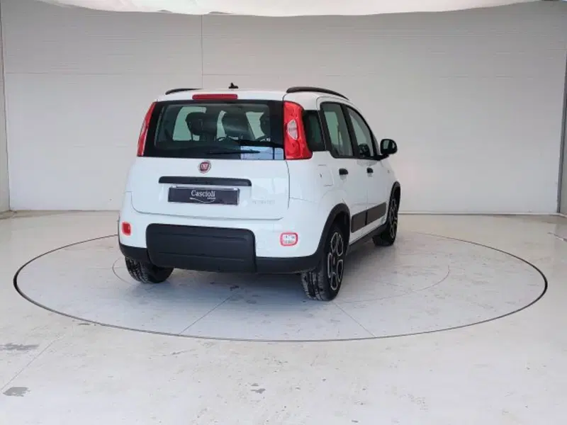 Fiat Panda usata a Teramo (5)