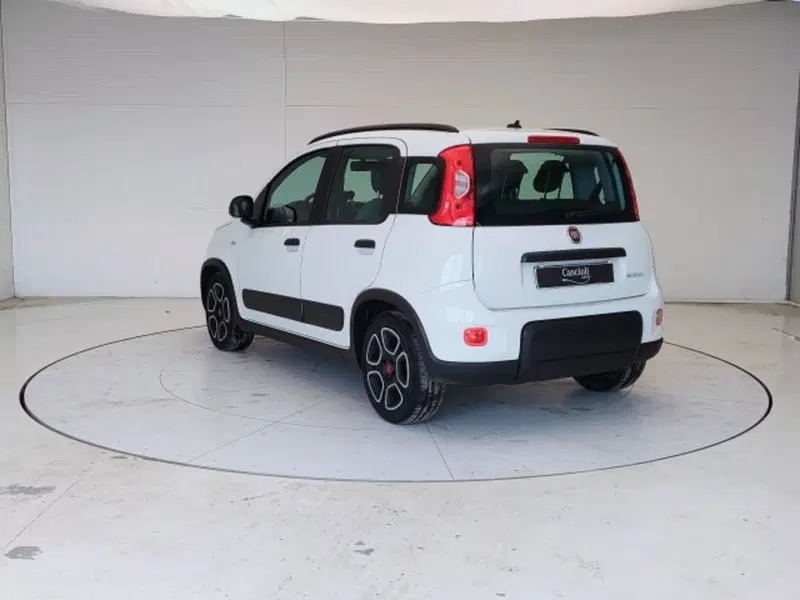Fiat Panda usata a Teramo (7)