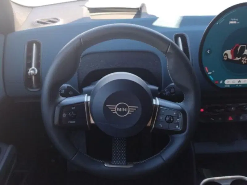 MINI Mini Countryman usata a Verona (11)