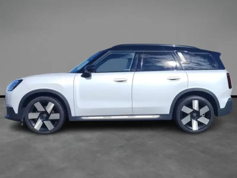 MINI Mini Countryman usata a Verona (3)