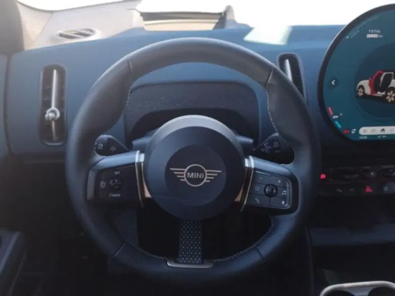 MINI Mini Countryman usata a Verona (11)