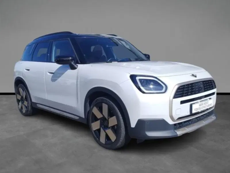 MINI Mini Countryman usata a Verona (16)