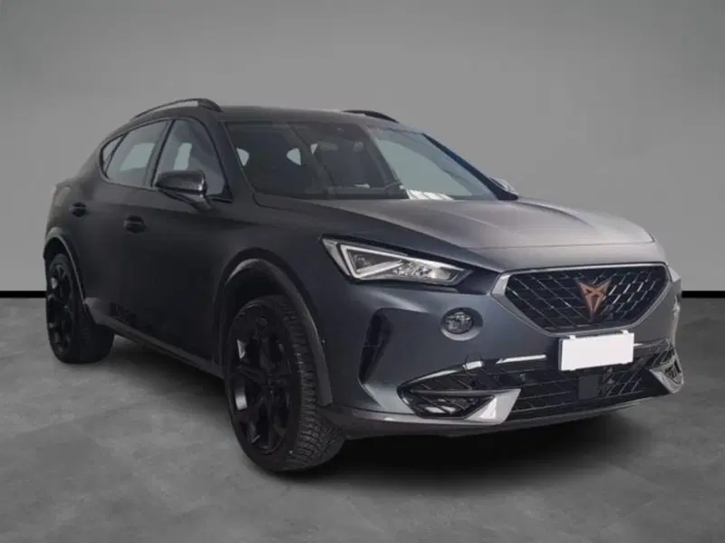Cupra Formentor usata a Verona (14)