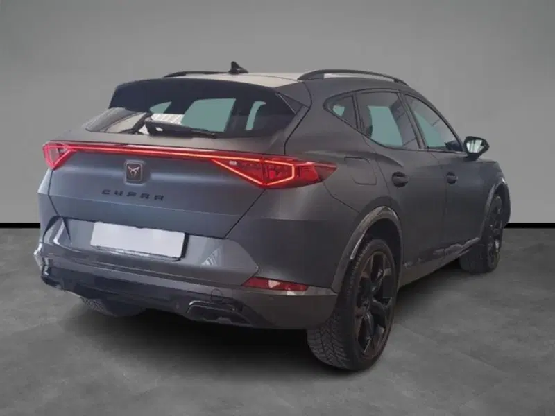 Cupra Formentor usata a Verona (15)