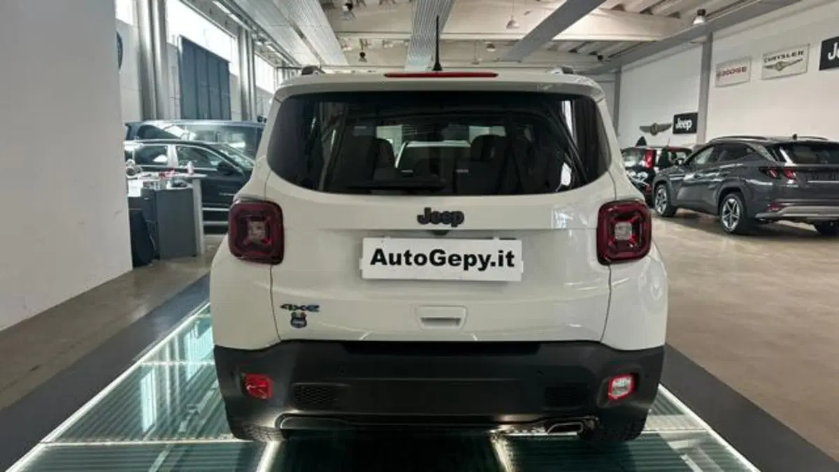Jeep Renegade usata a Reggio Emilia (5)