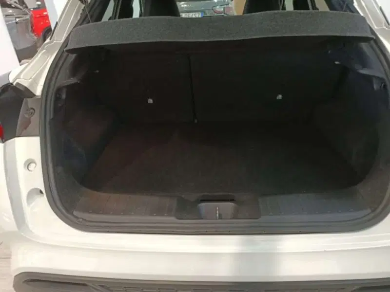Nissan Juke usata a Firenze (7)