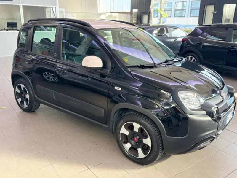 Fiat Panda usata a Pesaro-Urbino