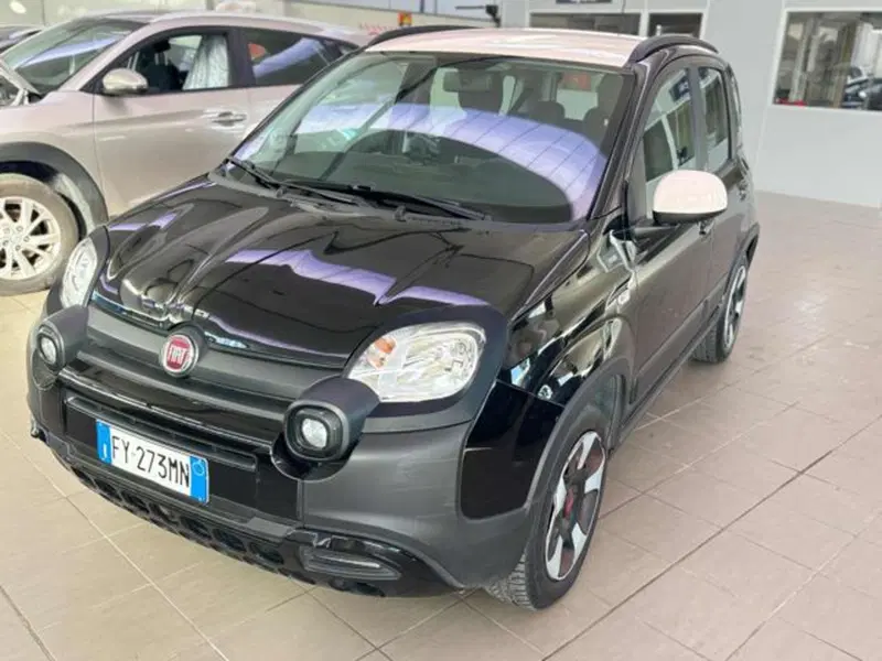 Fiat Panda usata a Pesaro-Urbino (2)