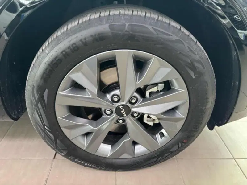 Kia Sportage usata a Pesaro-Urbino (3)