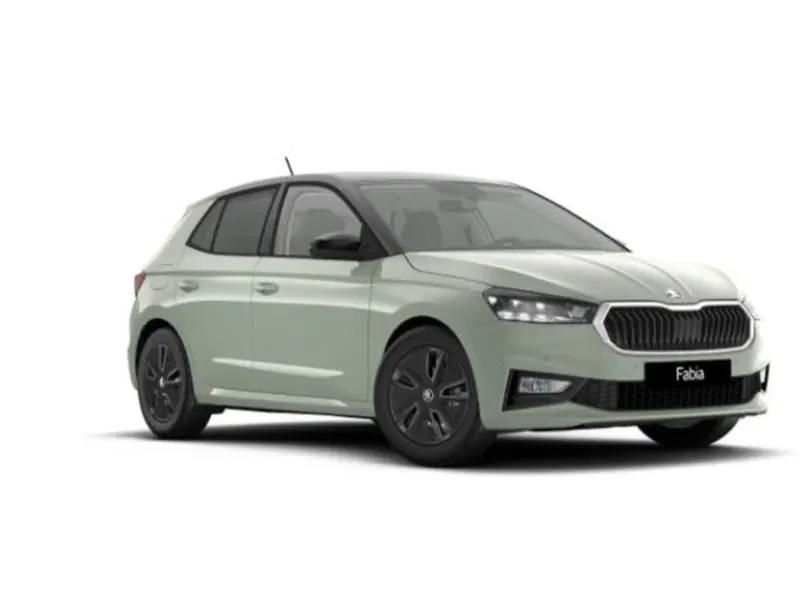Skoda Fabia nuova a Vicenza