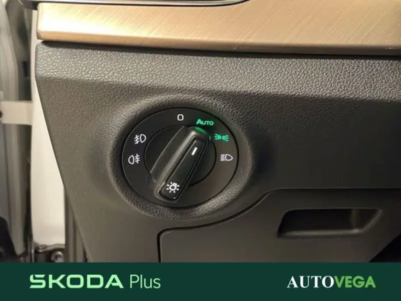 Skoda Kamiq usata a Vicenza (14)