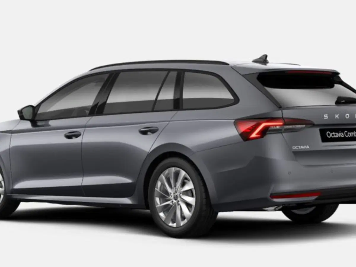 Skoda Octavia Station Wagon nuova a Vicenza (2)