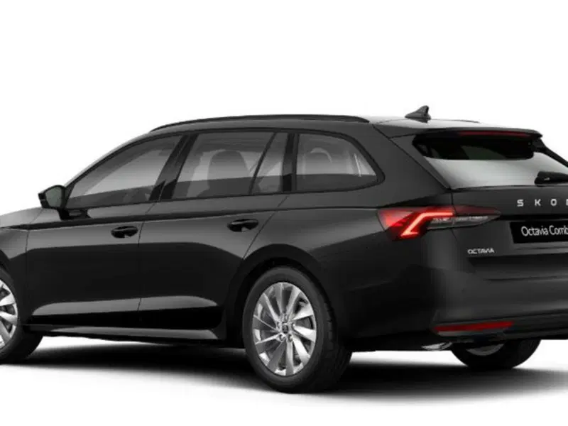 Skoda Octavia Station Wagon nuova a Vicenza (2)