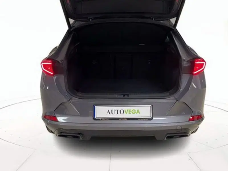 Cupra Formentor usata a Vicenza (16)