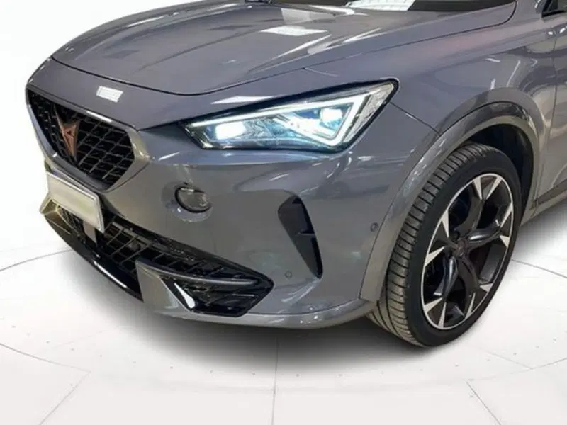 Cupra Formentor usata a Vicenza (18)