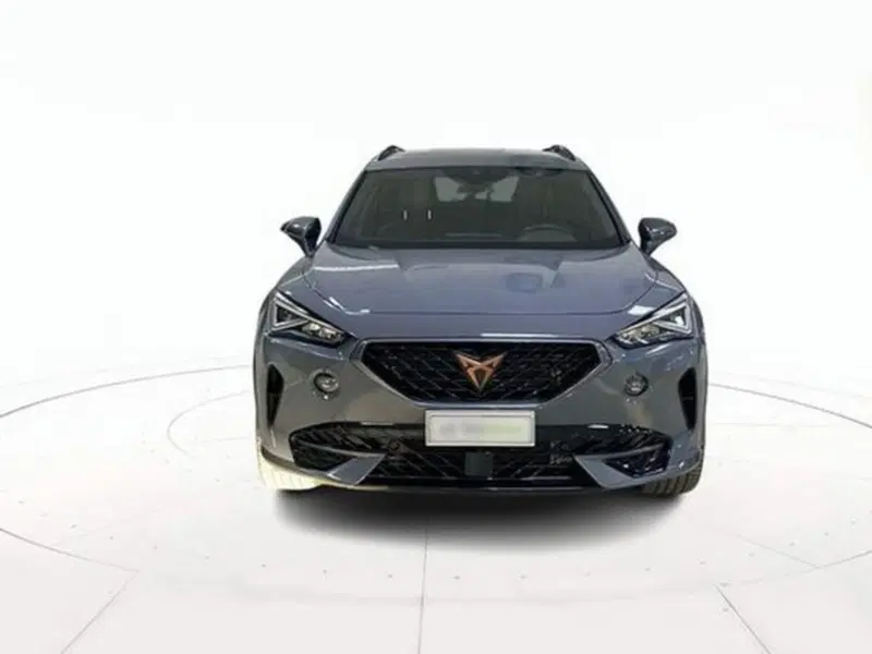 Cupra Formentor usata a Vicenza (2)