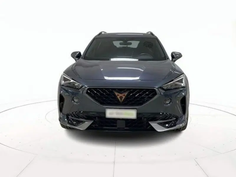 Cupra Formentor usata a Vicenza (2)