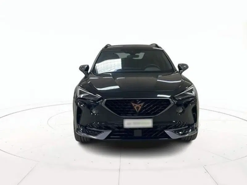 Cupra Formentor usata a Vicenza (2)