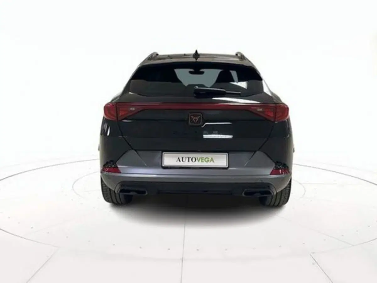 Cupra Formentor usata a Vicenza (5)