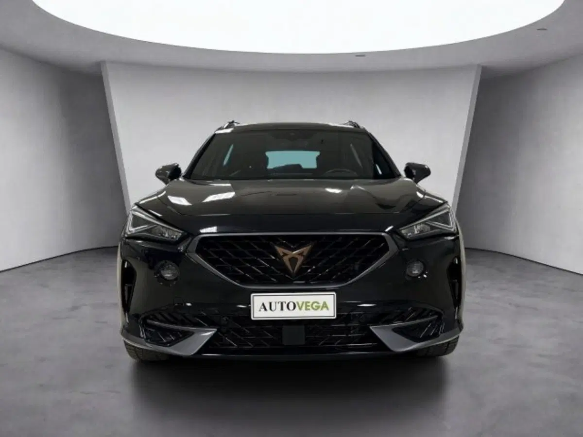Cupra Formentor usata a Vicenza (2)