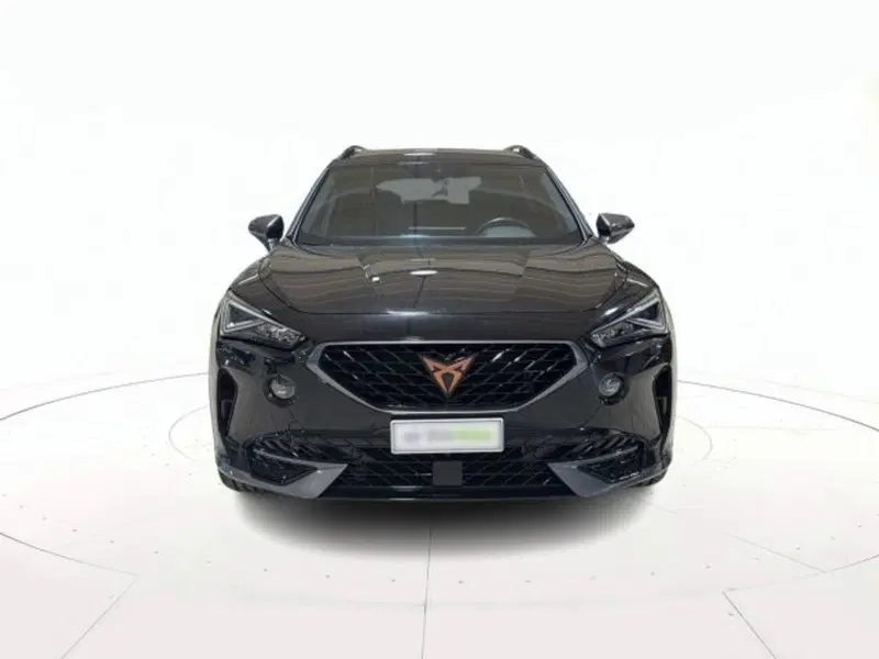 Cupra Formentor usata a Vicenza (2)
