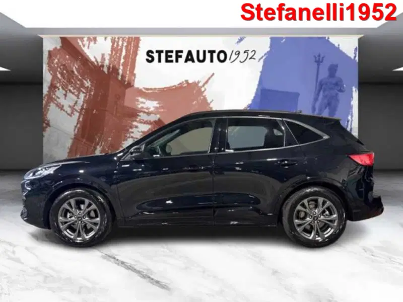 Ford Kuga usata a Bologna (4)