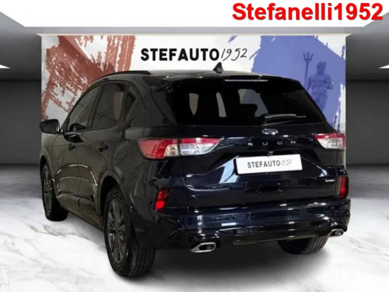 Ford Kuga usata a Bologna (5)