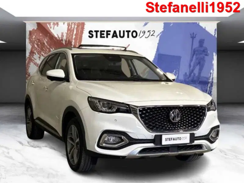 Mg EHS usata a Bologna