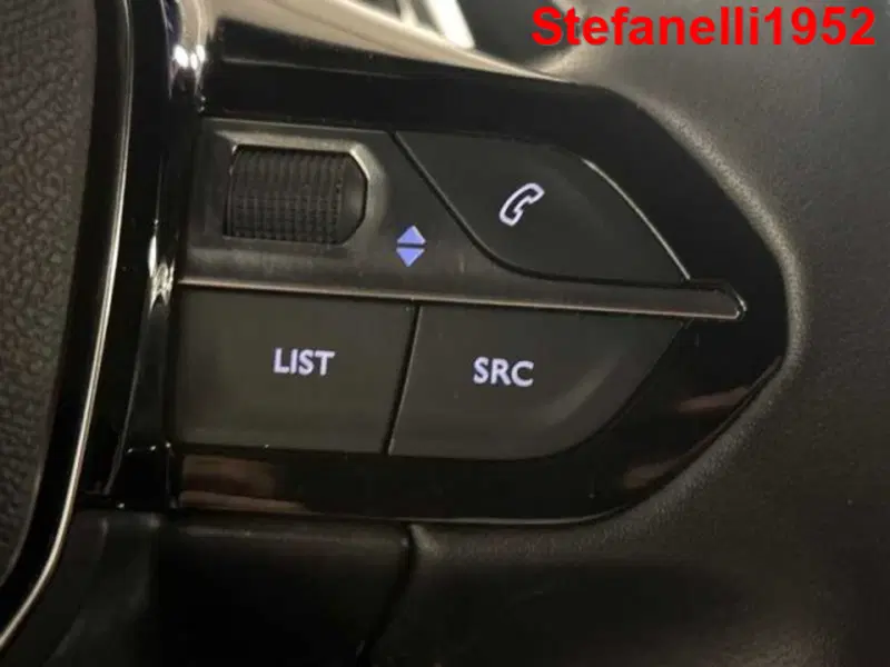 Peugeot 2008 usata a Bologna (19)