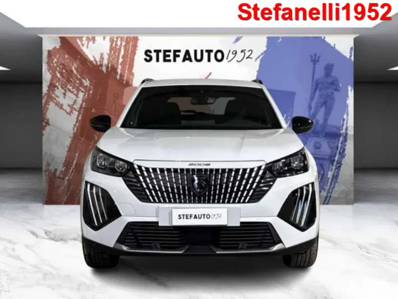 Peugeot 2008 usata a Bologna (2)
