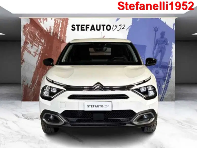 Citroen C4 usata a Bologna (2)