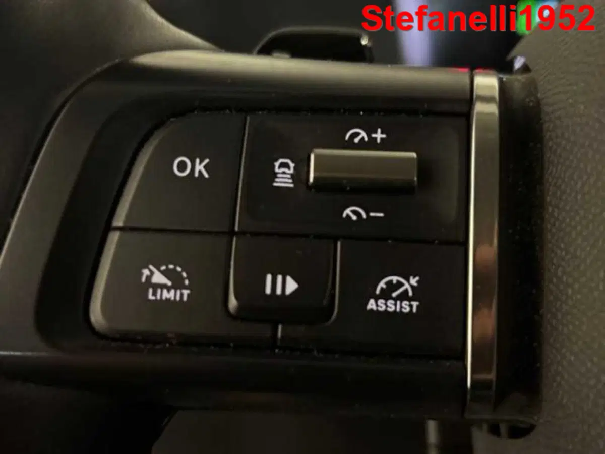 Citroen C4 usata a Bologna (20)