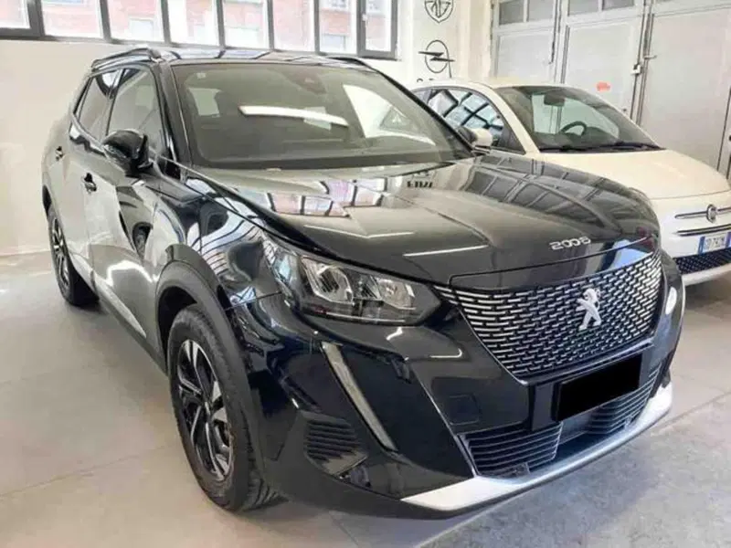 Peugeot 2008 usata a Torino (2)