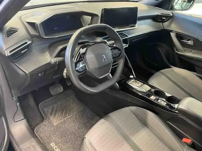Peugeot 2008 usata a Torino (7)