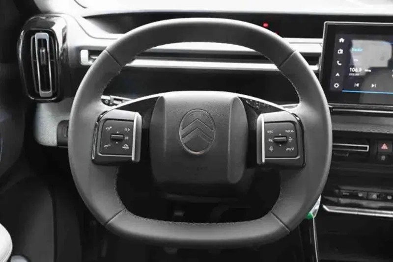 Citroen C3 usata a Torino (16)