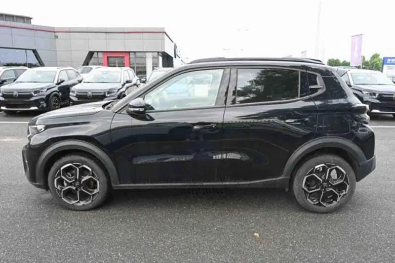 Citroen C3 usata a Torino (20)