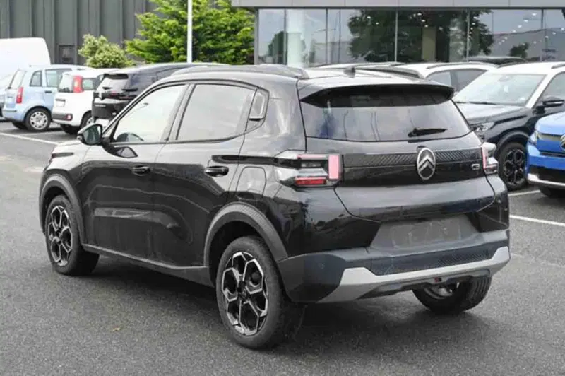 Citroen C3 usata a Torino (4)