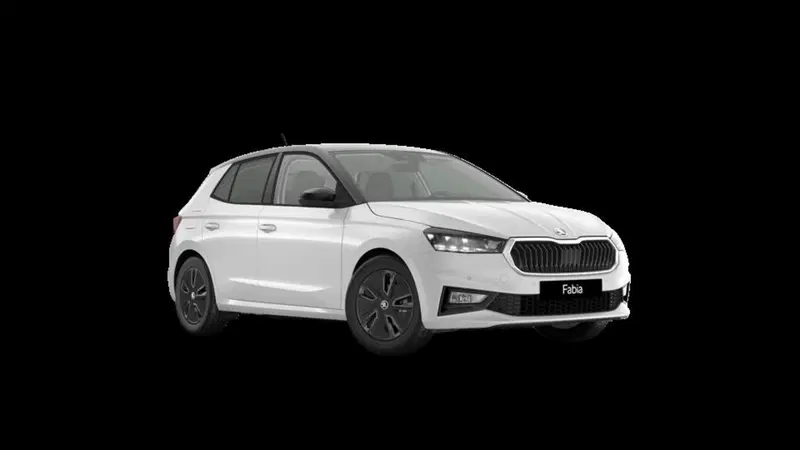 Skoda Fabia nuova a Padova