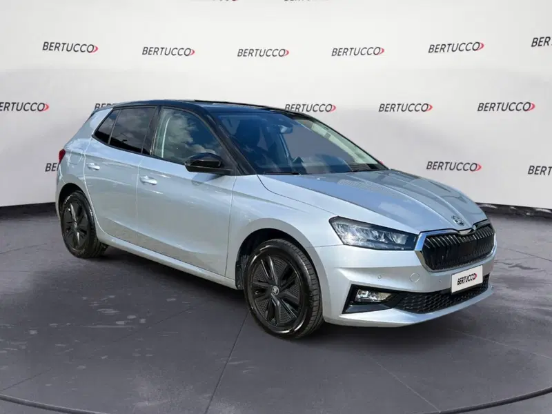 Skoda Fabia usata a Verona
