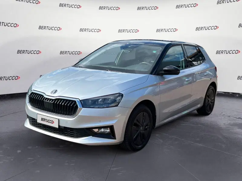 Skoda Fabia usata a Verona (2)