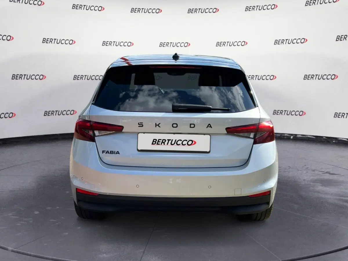 Skoda Fabia usata a Verona (3)