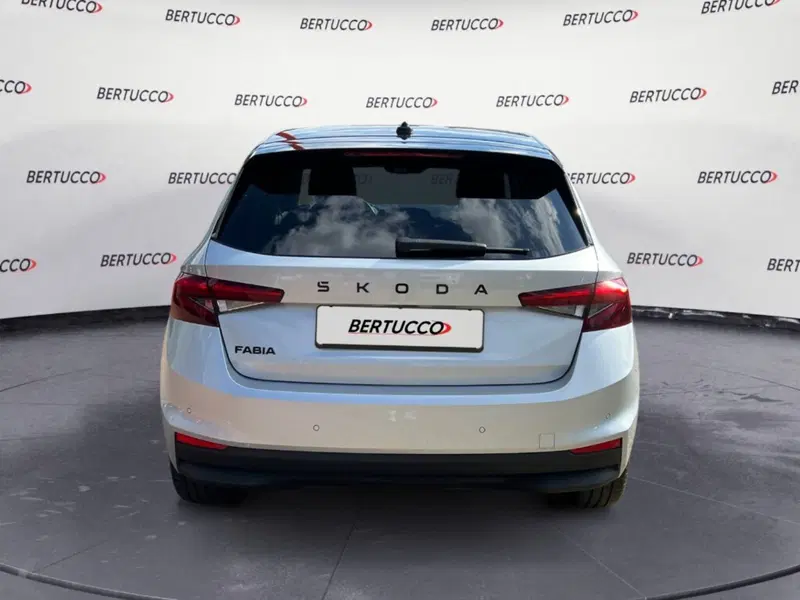 Skoda Fabia usata a Verona (3)