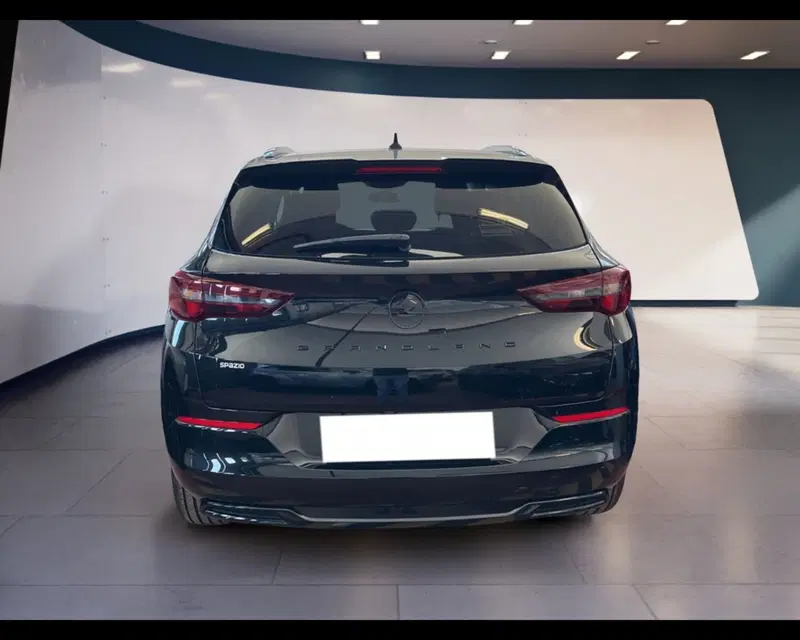 Opel Grandland usata a Torino (11)