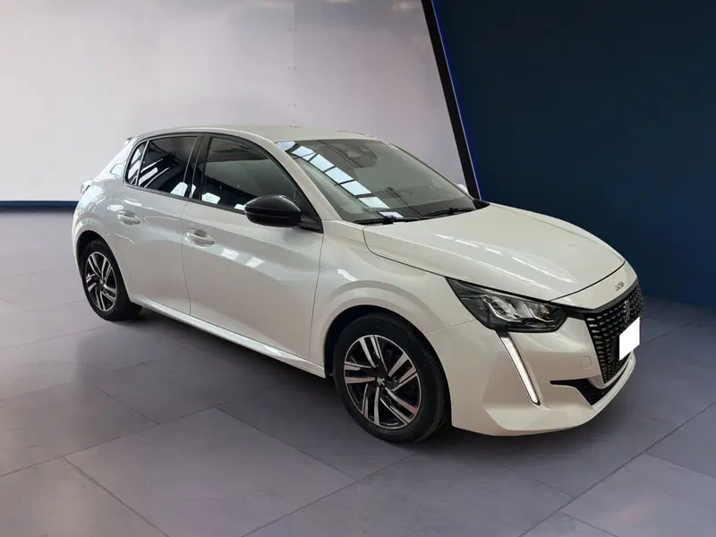 Peugeot 208 usata a Torino (2)